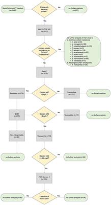 SuperPolymyxin™ Medium for the Screening of Colistin-Resistant Gram-Negative Bacteria in Stool Samples